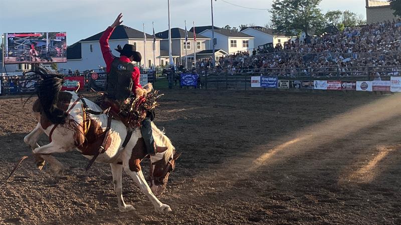Hamel Rodeo